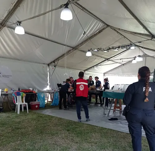 Evento elegante con carpas y decoración profesional 3